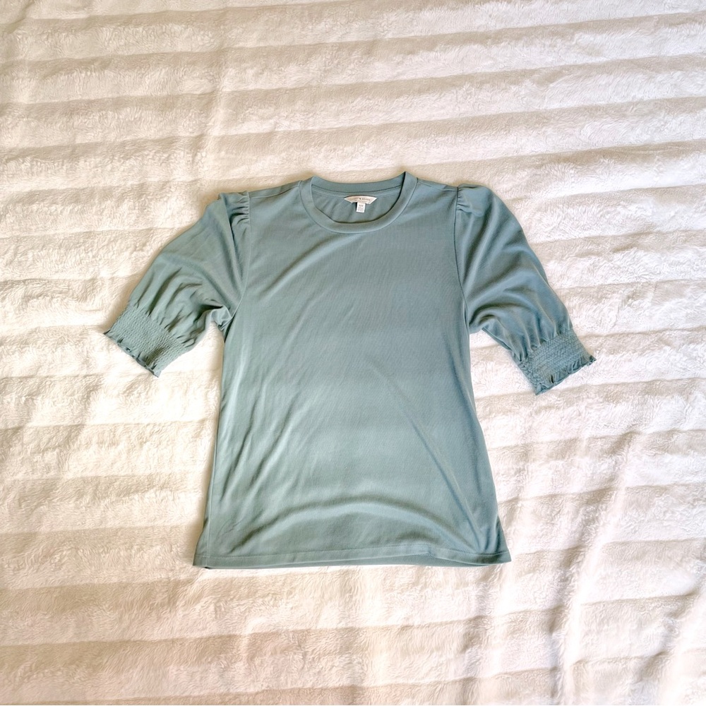 Puffed Elbow Length Top